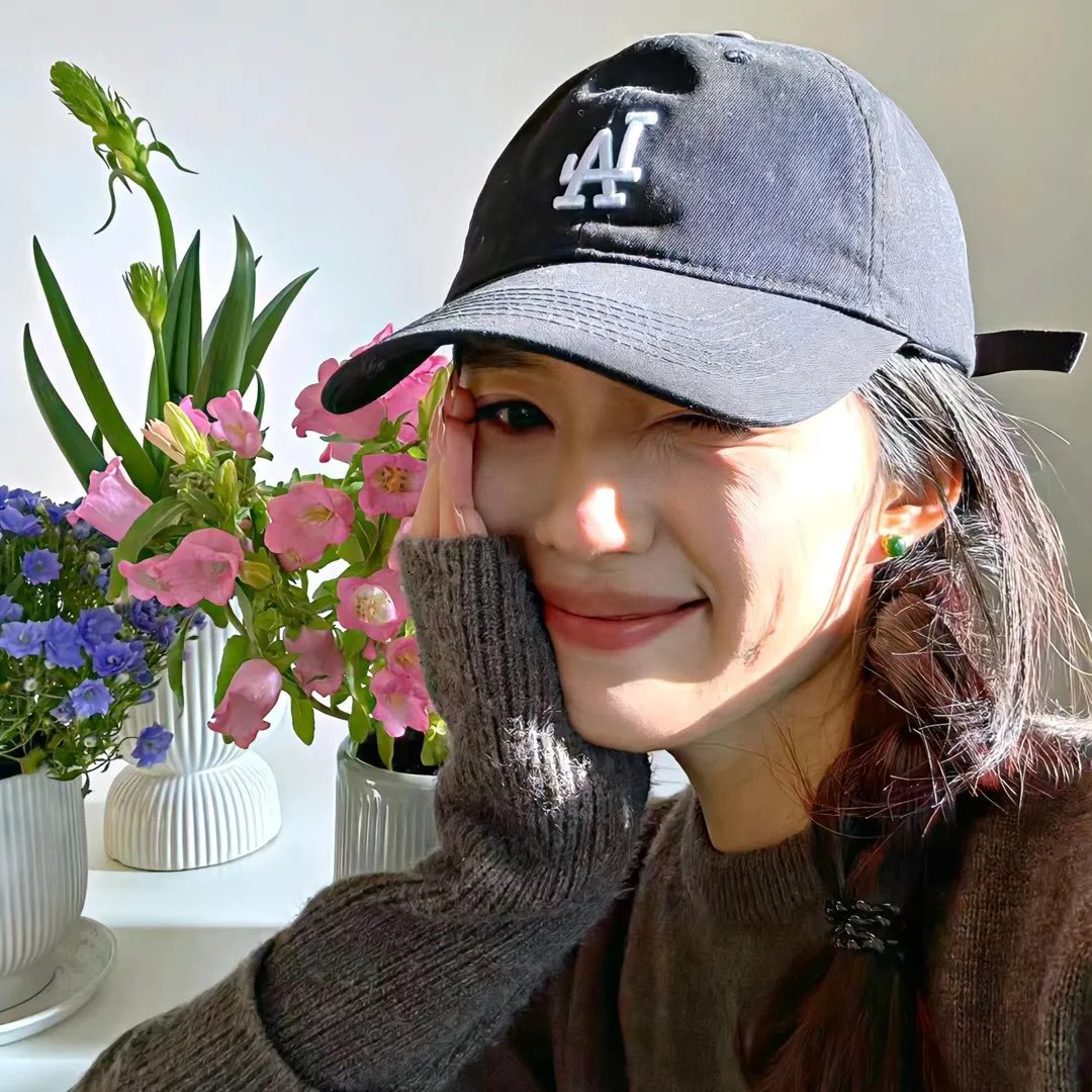 忍冬玫瑰
